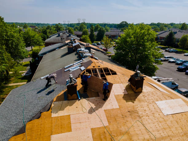 Trusted Roof Replacement service in Collins, MS - Brentwood Metal Roofing